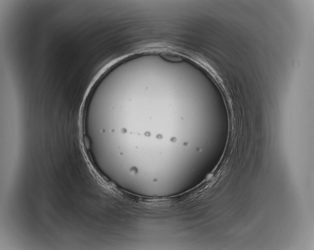 X0000116601392200912181137