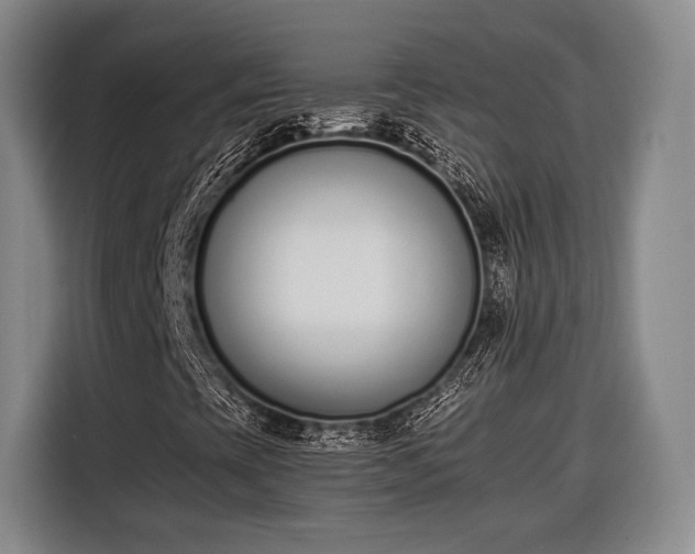 X0000116601393200912181137
