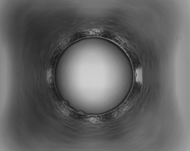 X0000116601395200912181137