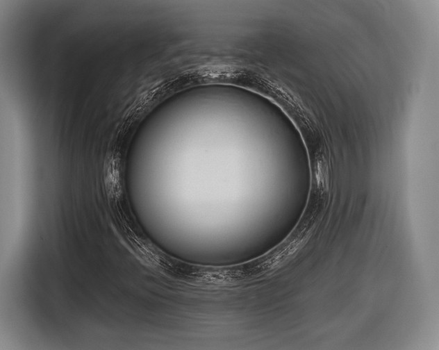 X0000116601396200912181137