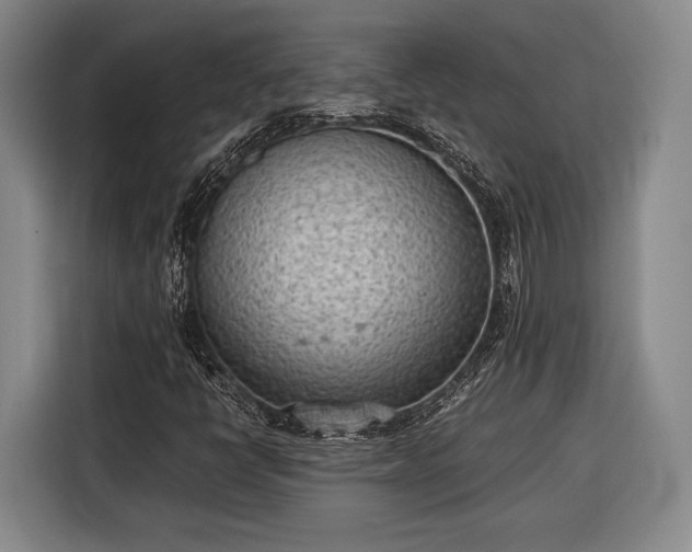 X0000116601398200912181137