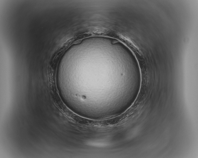 X0000116601399200912181137