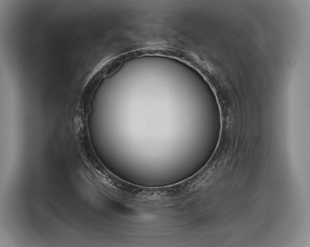 X0000116601400200912181137