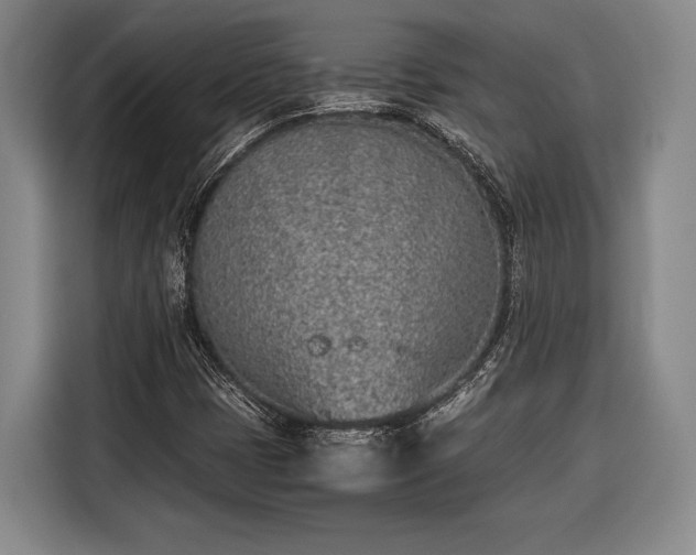 X0000116601401200912181137