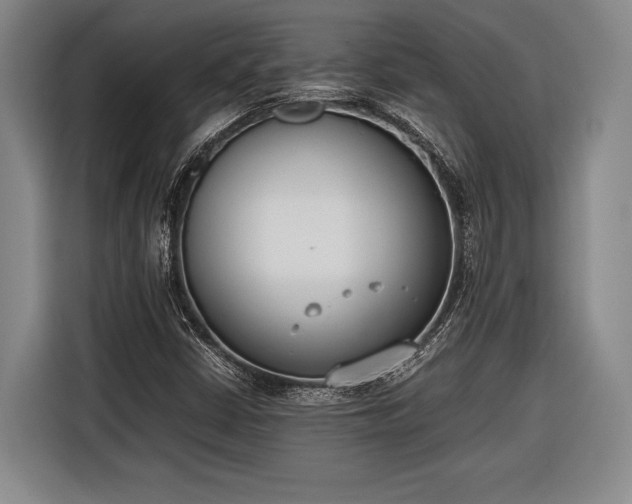 X0000116601402200912181137