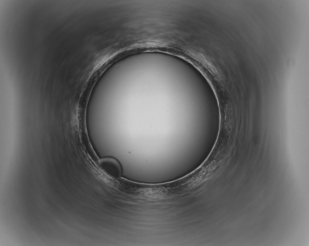 X0000116601404200912181137