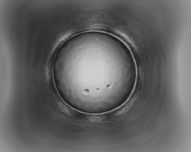 X0000116601405200912181137
