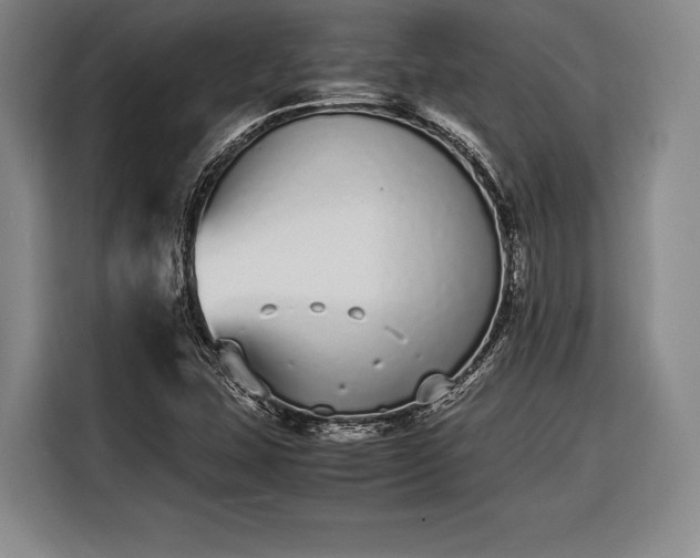 X0000116601407200912181137