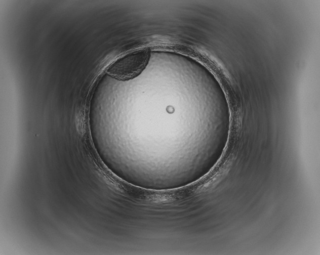 X0000116601409200912181137
