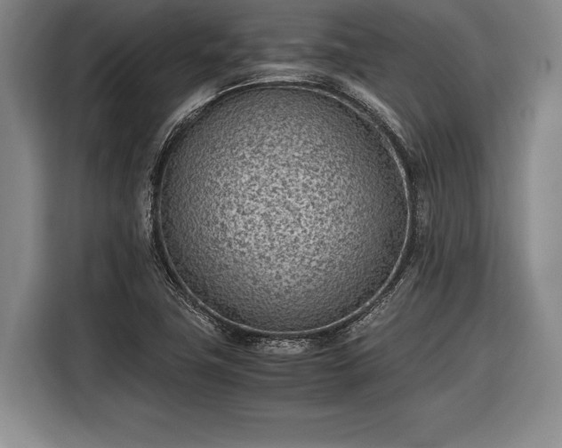 X0000116601411200912181137
