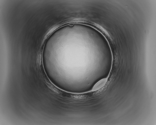 X0000116601413200912181137