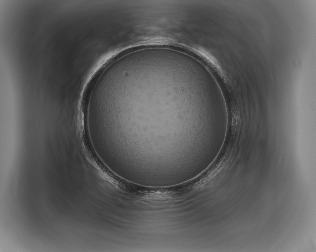X0000116601414200912181137