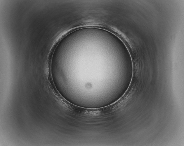 X0000116601415200912181137