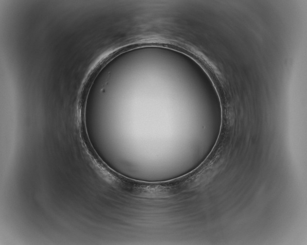 X0000116601416200912181137