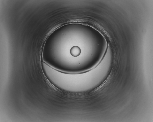 X0000116601417200912181137