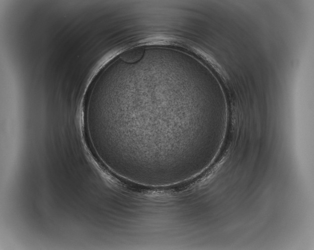 X0000116601418200912181137
