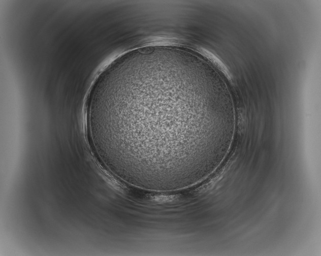 X0000116601419200912181137