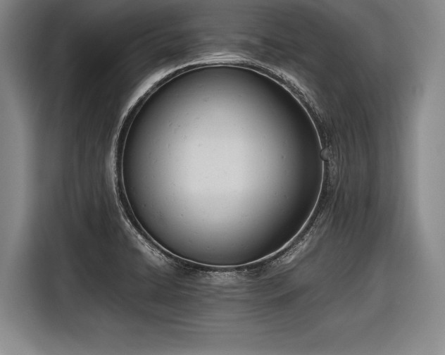 X0000116601422200912181137