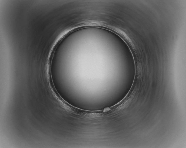 X0000116601424200912181137