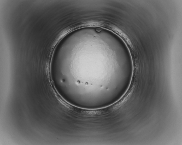 X0000116601425200912181137