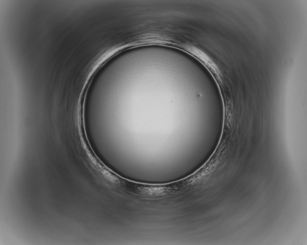 X0000116601431200912181137