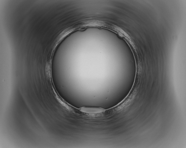 X0000116601433200912181137