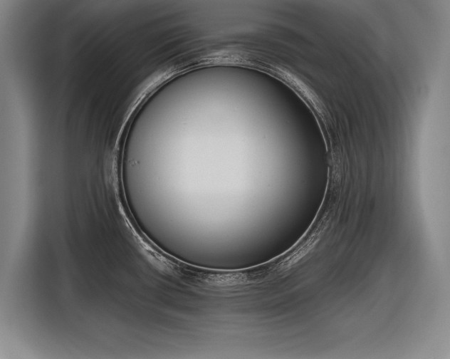 X0000116601434200912181137