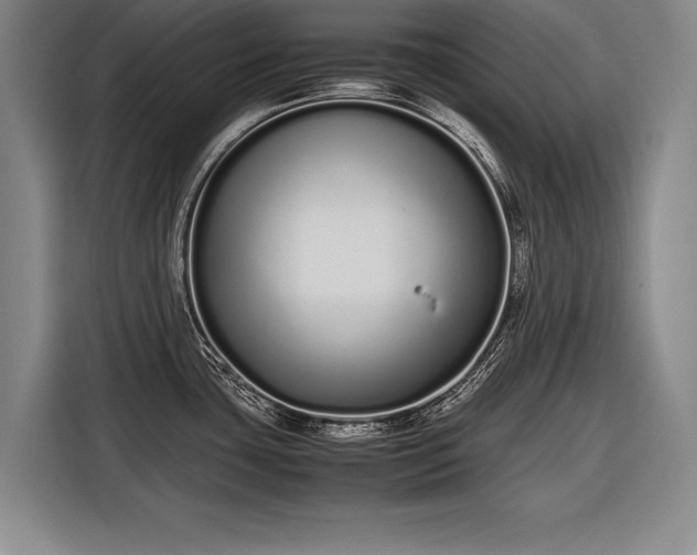X0000116601435200912181137
