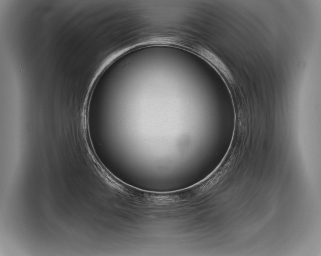 X0000116601436200912181137