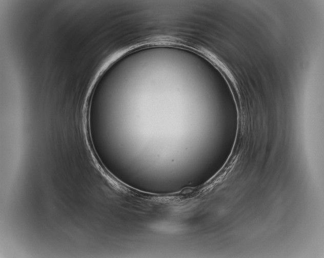 X0000116601437200912181137