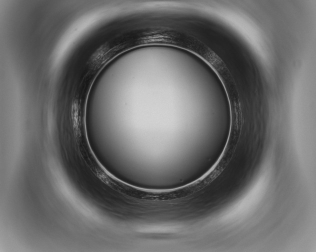 X0000116601438200912181137