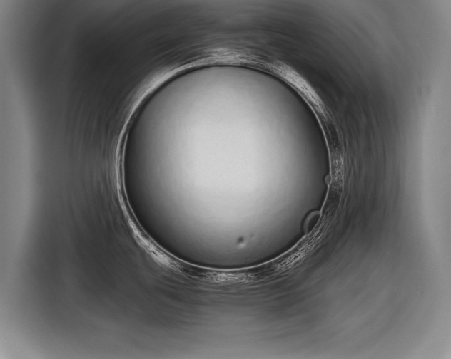 X0000116601439200912181137