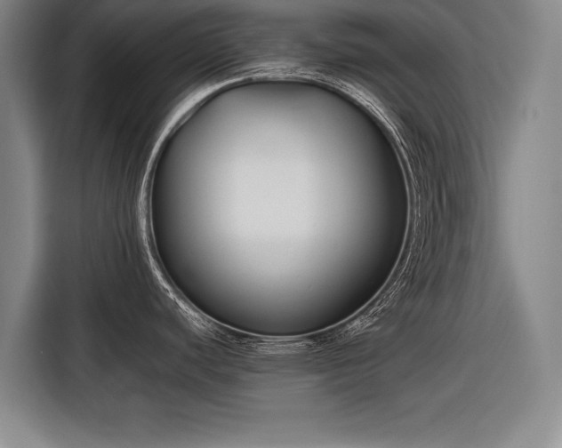 X0000116601440200912181137