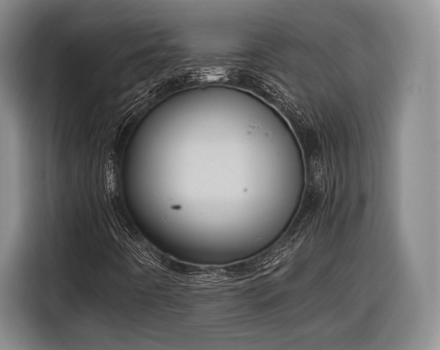 X0000116601442200912181136