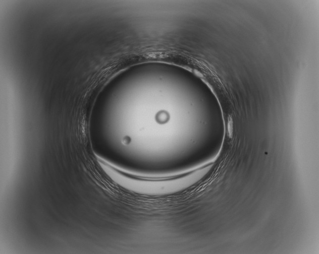 X0000116601444200912181136