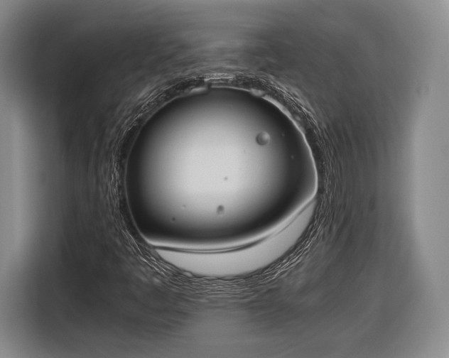 X0000116601445200912181136