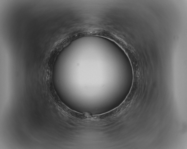 X0000116601447200912181136
