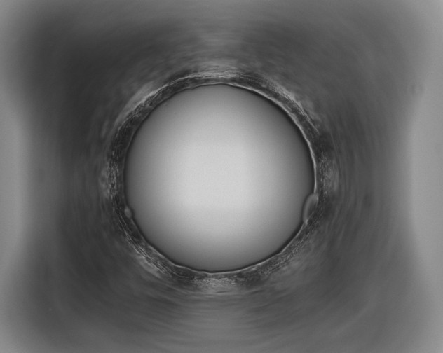 X0000116601448200912181136
