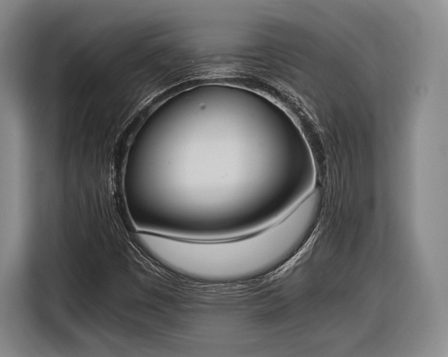 X0000116601449200912181136