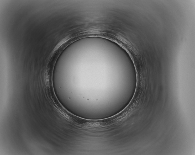 X0000116601450200912181136