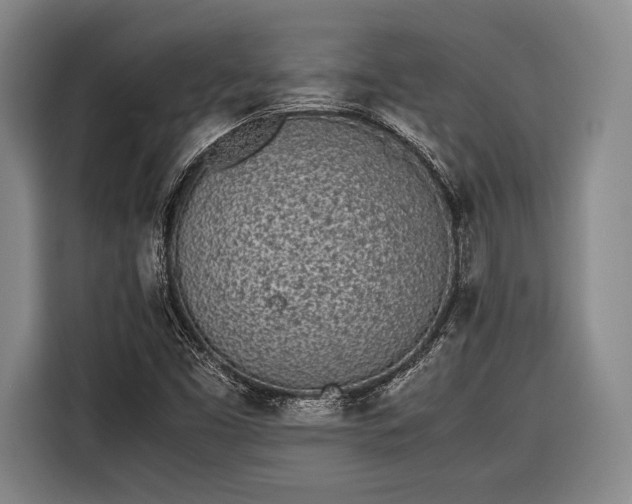 X0000116601453200912181136