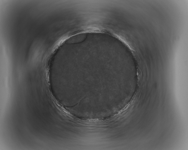 X0000116601455200912181136