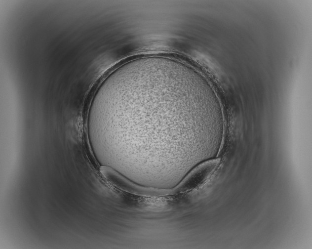 X0000116601457200912181136