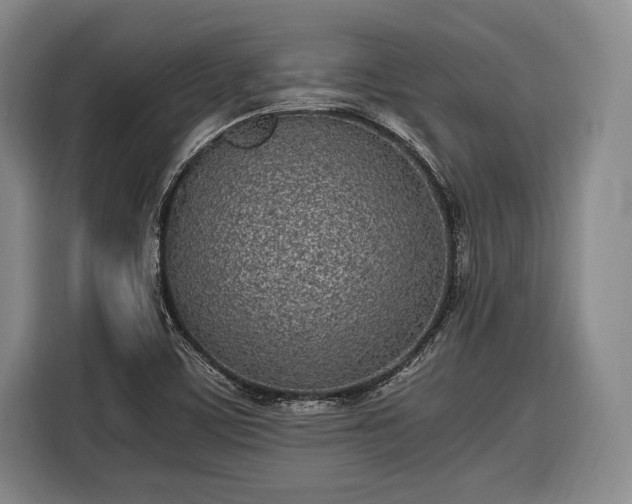 X0000116601459200912181136