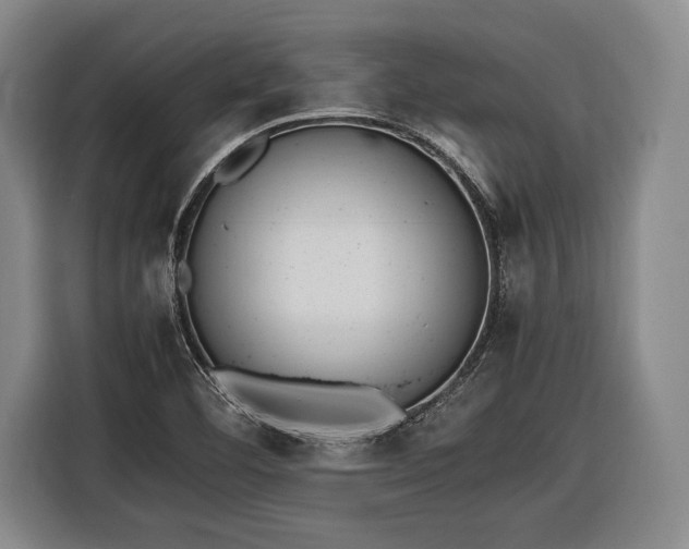 X0000116601460200912181136