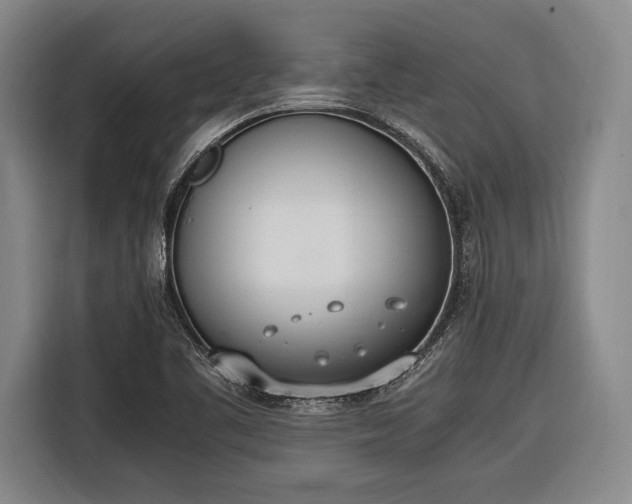 X0000116601461200912181136