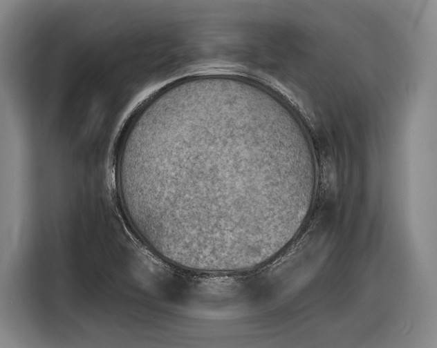 X0000116601462200912181136