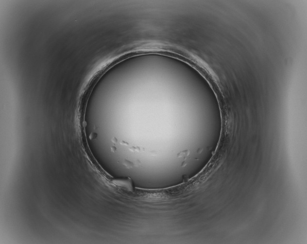 X0000116601464200912181136