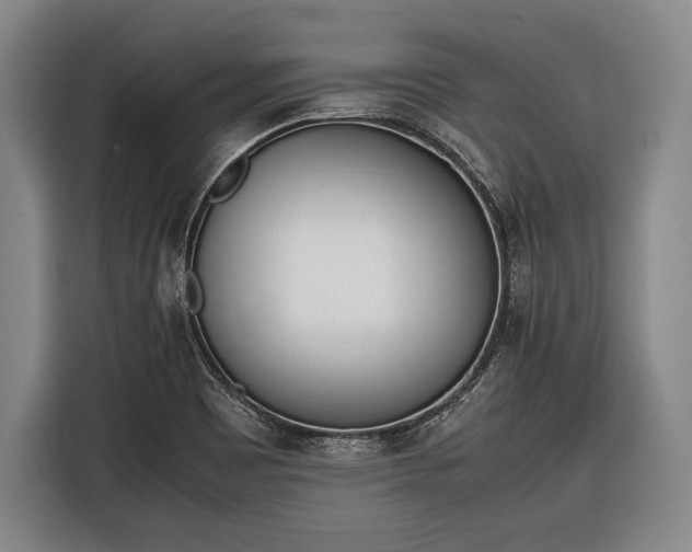 X0000116601465200912181136