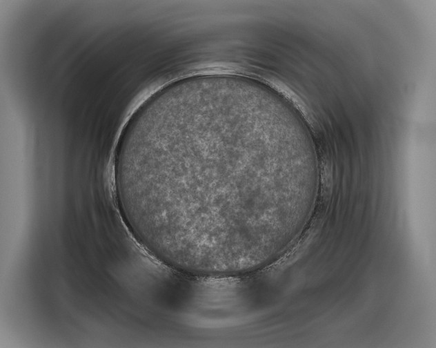 X0000116601466200912181136